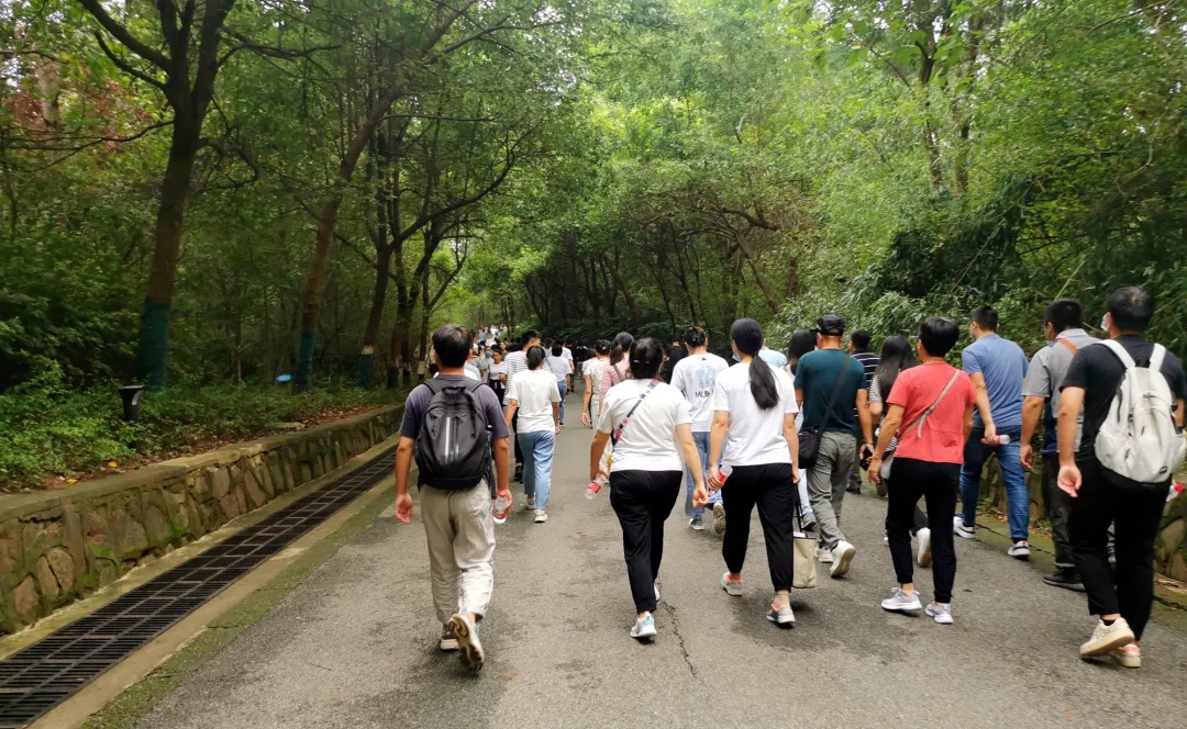【動態(tài)】認真工作，快樂生活——智恒信科技六周年登山活動圓滿落幕